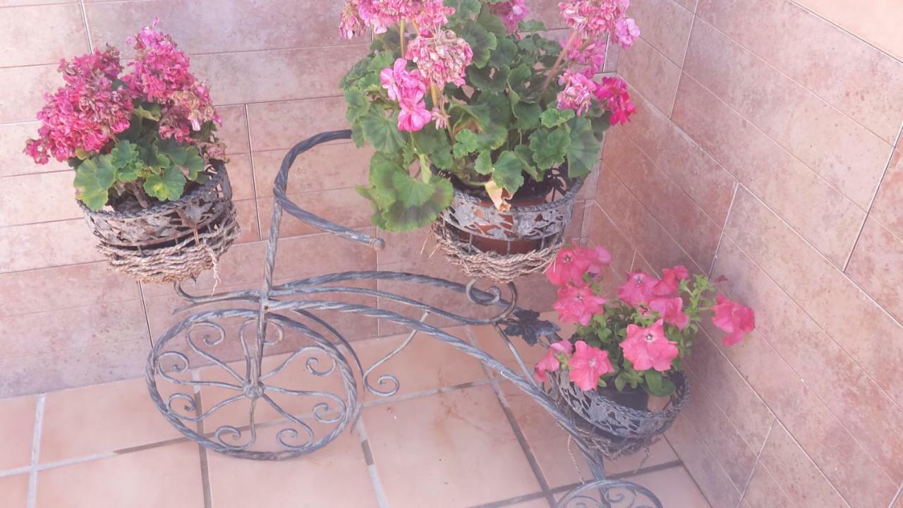 Bravo 24 Apartment Fuengirola Bagian luar foto
